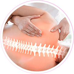 Aula prática de Anatomia Básica - Curso de Massoterapia